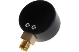 Манометр радиальный Watts F+R200