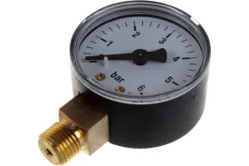 Манометр радиальный Watts F+R200