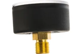Аксиальный манометр Watts F+R100