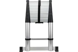 Лестница телескопическая алюминиевая Gigant LT-01 1x15