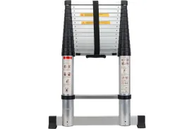 Лестница телескопическая алюминиевая Gigant LT-01 1x15