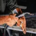 Краги сварщика с подкладкой Jeta Safety JWK401 Ferrus Active
