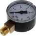 Манометр радиальный Watts F+R200