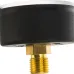 Аксиальный манометр Watts F+R100